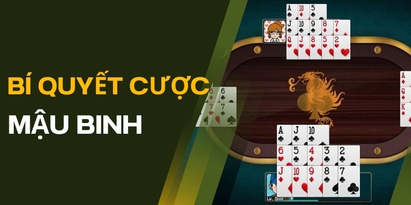 Bí quyết chọn cược Mậu Binh cho tân thủ